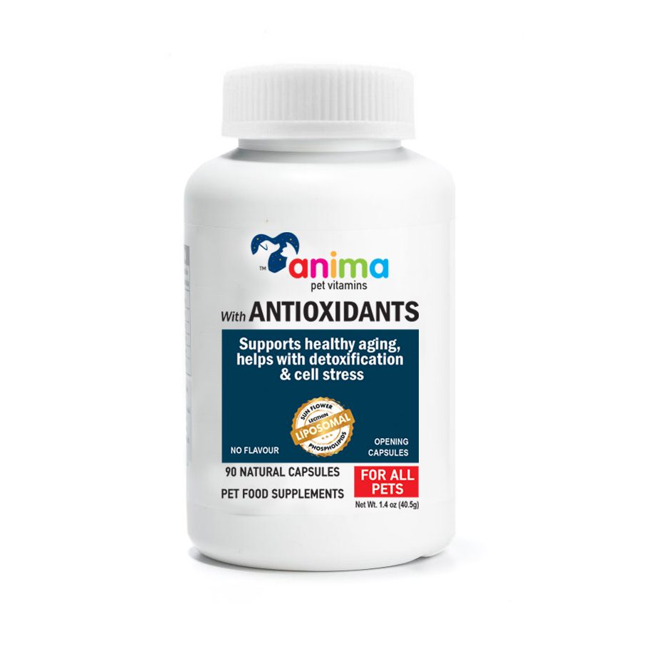 ANIMA-ANTIOXIDANT - Παραγωγη προϊόντων ιδιωτικης ετικετας -