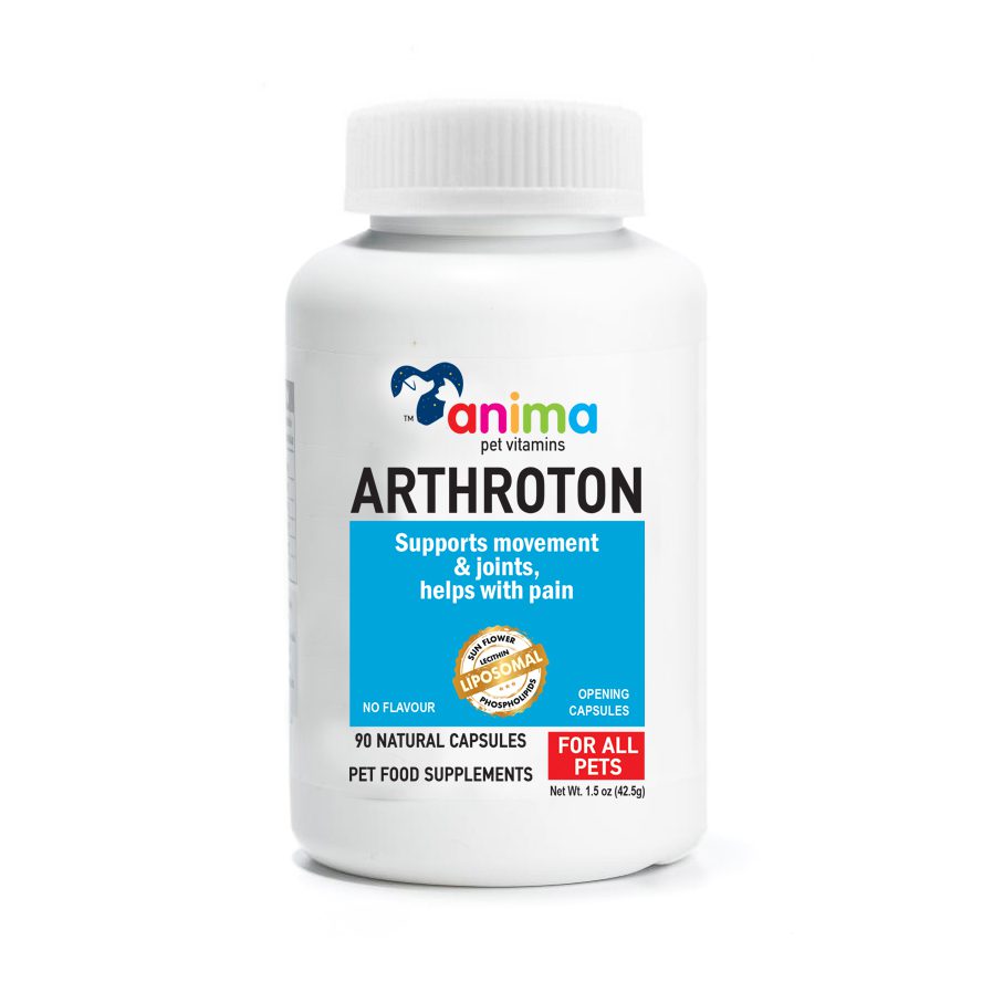 ANIMA-ARTHROTON - ANTIOXIDANT 380mg / 90 CAPS ANTΙ AGING.DETOX.CELL STRESS - FOOD SUPPLEMENTS MANUFACTURING