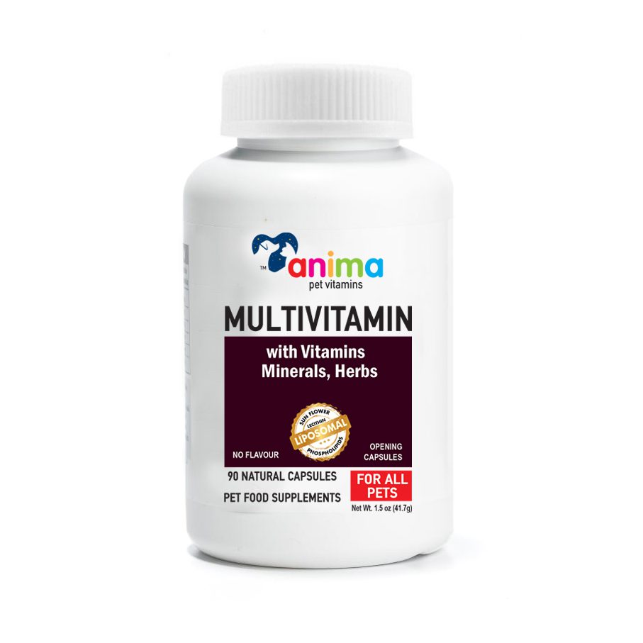 ANIMA-MULTIVITAMIN - ANTIOXIDANT 380mg / 90 CAPS ANTΙ AGING.DETOX.CELL STRESS - Εργοστάσιο Παραγωγής Συμπληρωμάτων