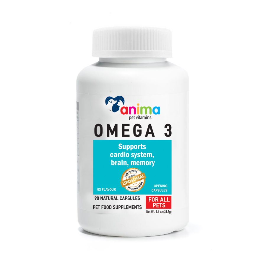 ANIMA-OMEGA3 - ANTIOXIDANT 380mg / 90 CAPS ANTΙ AGING.DETOX.CELL STRESS - Amhes - Ελληνική εταιρία φυσικών συμπληρωμάτων διατροφής