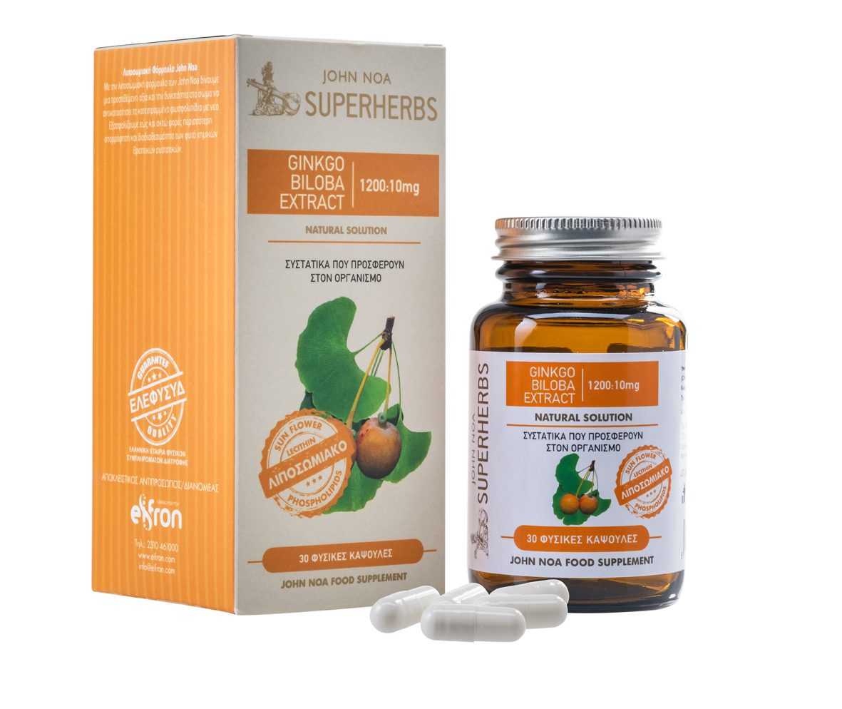 GINGO-BILOBA - Amhes Pharma